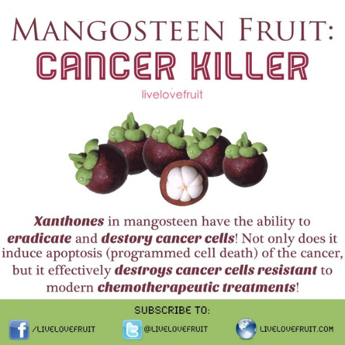 mangosteen-cancer-cure
