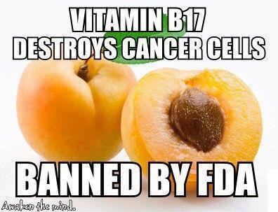 Vitamin B17 kills cancer cells