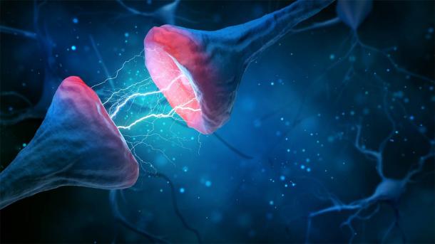 A picture of a brain synapse and neuron and the electromagnetic signals exchanged, which is somehow the source of human consciousness. (k_e_n / Adobe Stock)