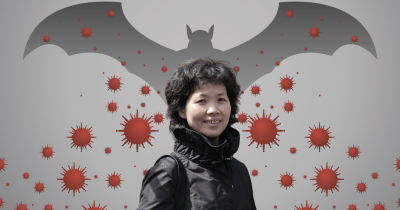 A photograph of Shi Zhengli over a background of a shadow of a bat and microscopic red viruses 