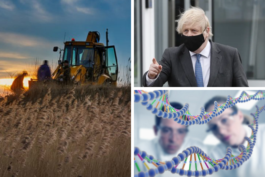 Boris Johnson expressed a desire to change the law around genetically modified food on his first day in office