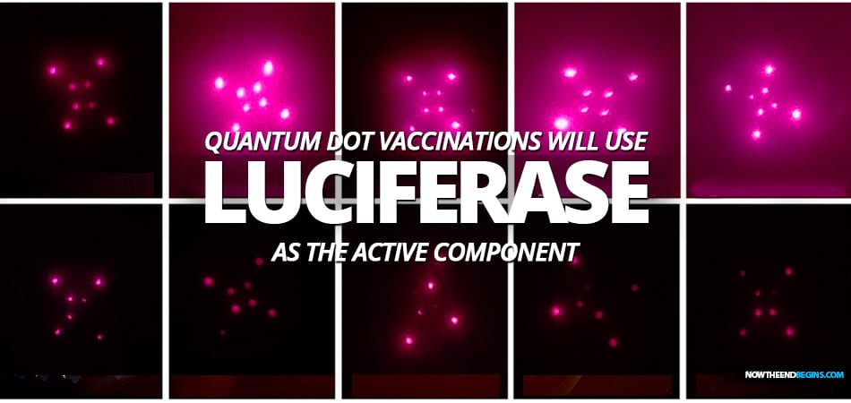 Bill Gates is building something that we call the Human Implantable Quantum Dot Microneedle Vaccination Delivery System, and it needs an enzyme called luciferase to make it work.