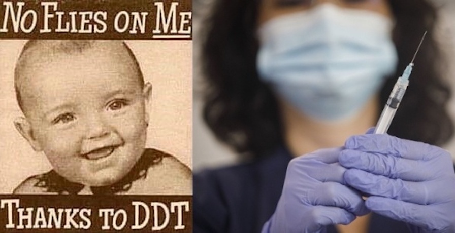 new study finds granddaughters of people exposed to ddt have increased risk of cancer