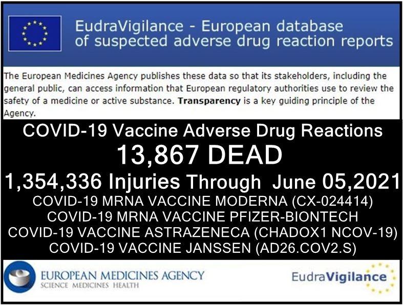 european database of adverse drug reactions for covid 19 shots 13,867 dead and 1,354,336 injuries