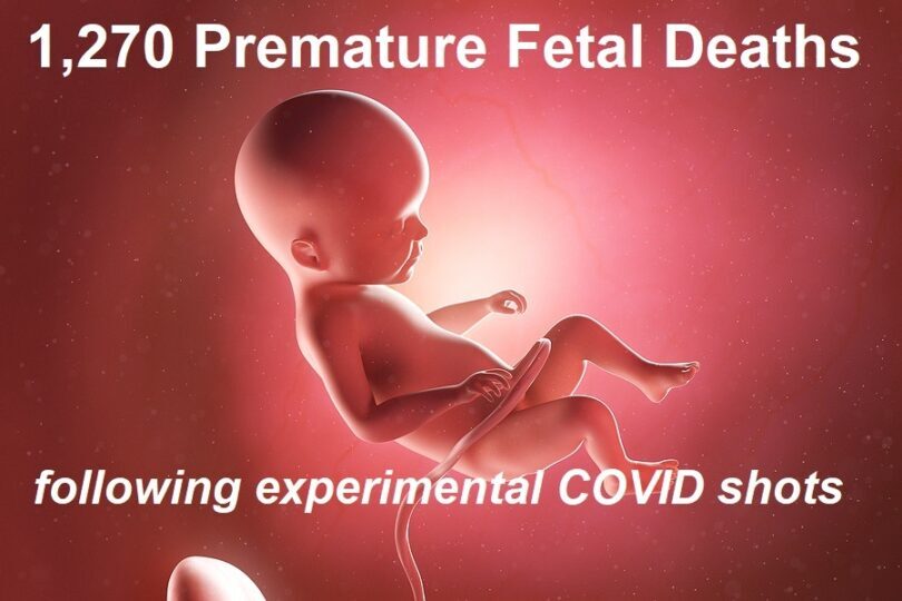 cdc stats 1,270 premature fetal deaths following covid shots – still recommends pregnant women get covid injections
