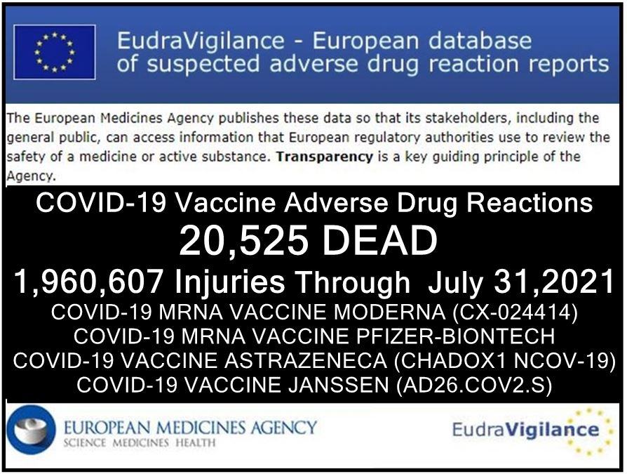european union’s database of adverse drug reactions for covid 19 shots 20,595 dead and 1.9 million injured (50% serious)