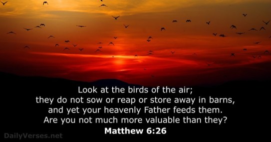 your heavenly Father feeds them
