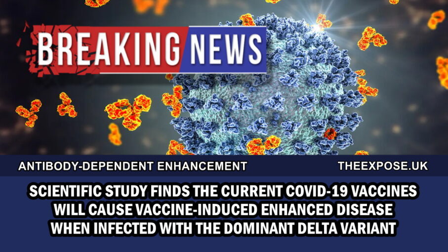 breaking – study finds the current covid 19 vaccines will cause ‘vaccine induced enhanced disease’ when infected with delta