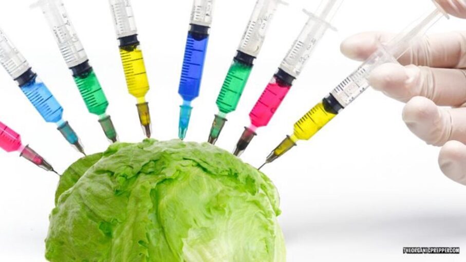 “lettuce” vaccinate you and other reasons you can’t trust the food supply