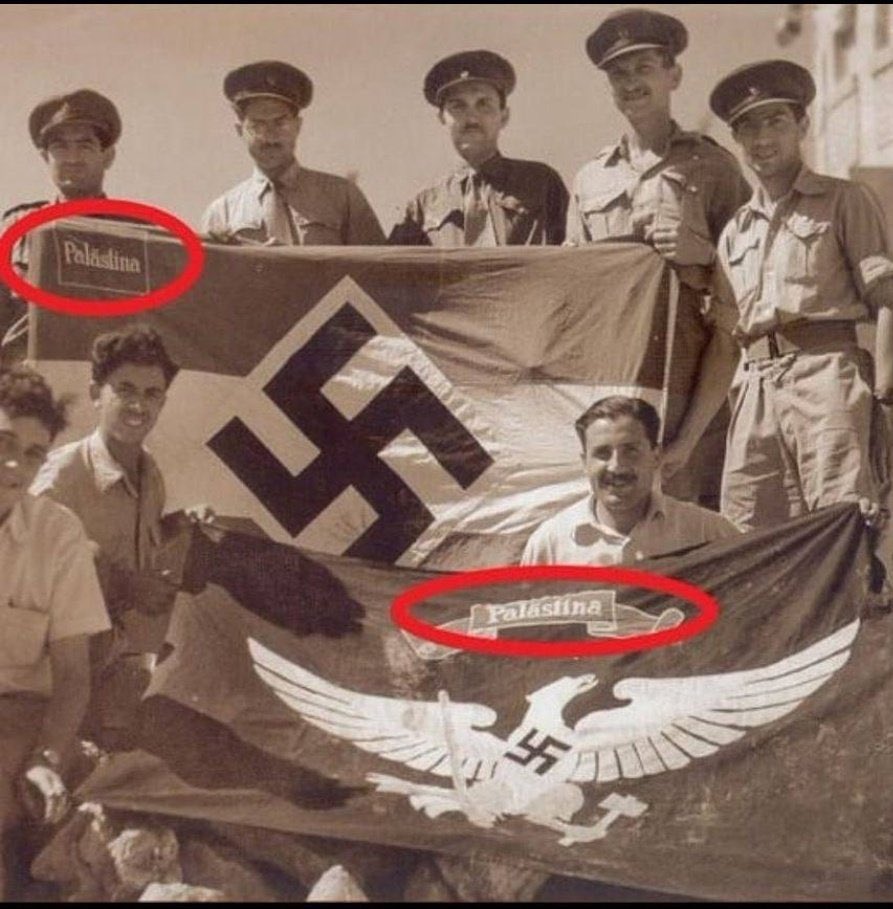 Hitler created Israel