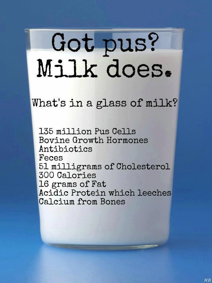 milk contains