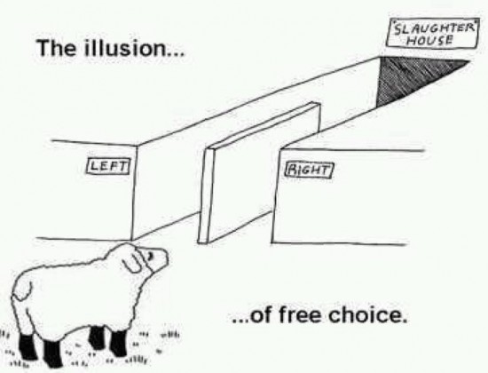 illusion of democracy