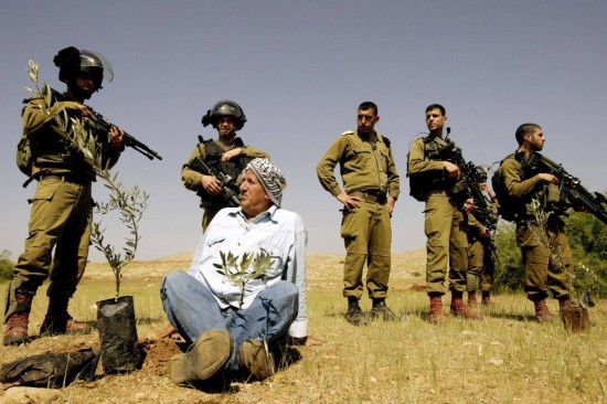 Jewish Soldiers hold guns and try to prevent man from planting olive tree