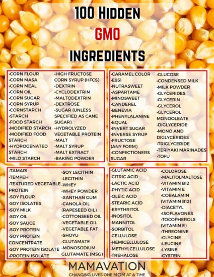 100 hidden GMO ingredients