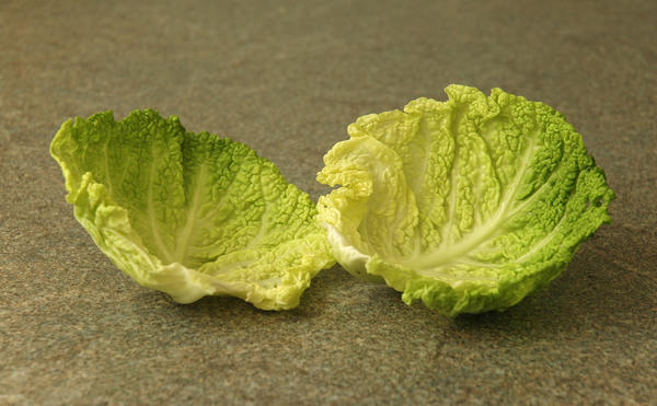 cabbage_leaves