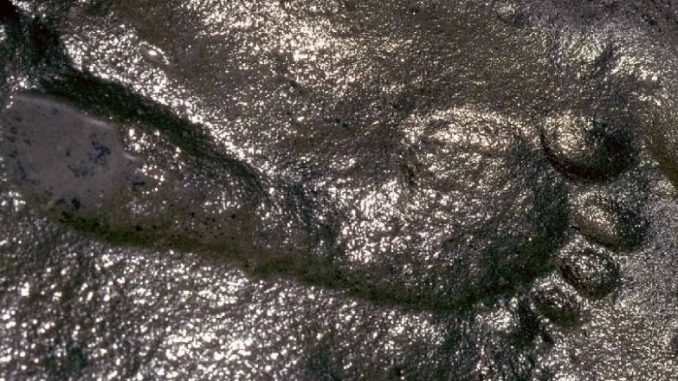 Giant human footprint thought to be 290 million years old baffles scientists