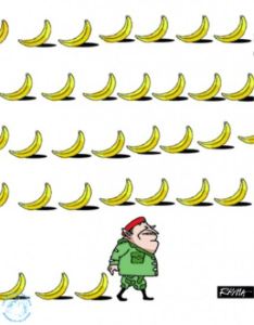 Chavez_banana republic_venezuela