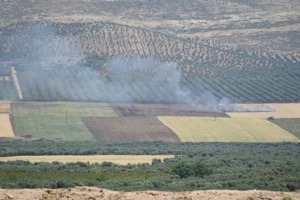 June 1_2017_Rojava_Turkish toops and rebels burn farm land in attacks_Courtesy YPG