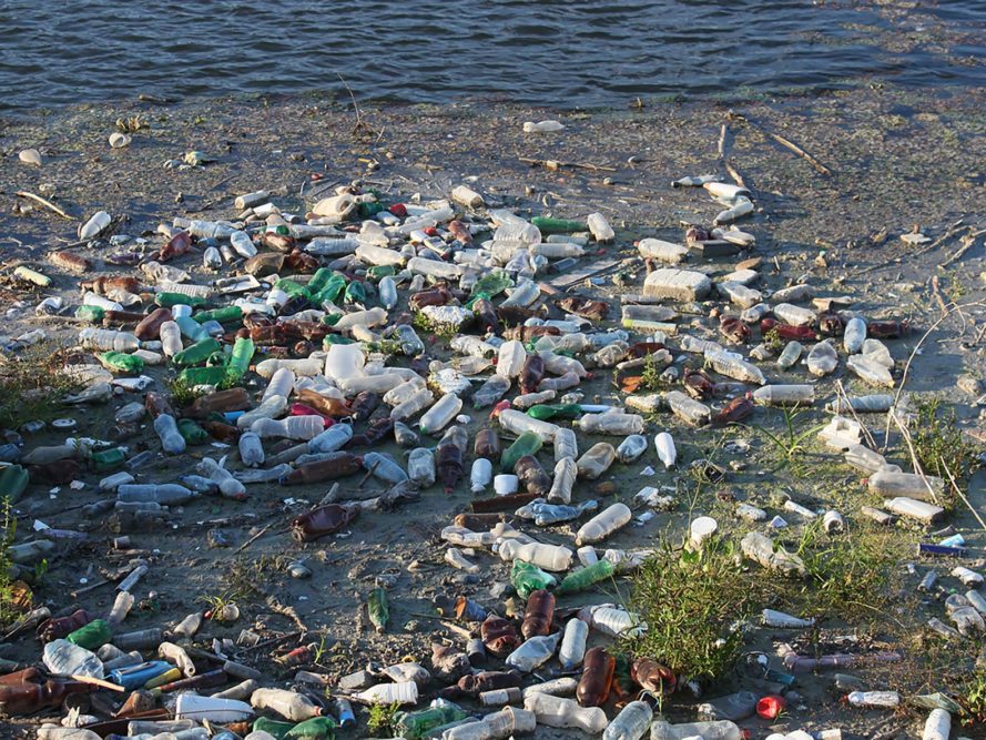 Plastic, plastic bottle, plastic bottles, plastic water bottle, plastic water bottles, water bottle, water bottles, bottle, bottles, trash, pollution, plastic pollution, garbage, environment, environmental destruction