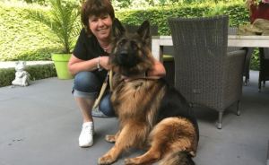 Verlee Vanhove and dog_Boar attack_Belgium_Jul 2017