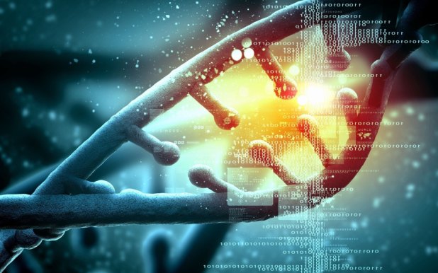 CRISPR DNA human embryo edit