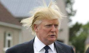 Donald Trump_USA_2017_Trump hairstyle