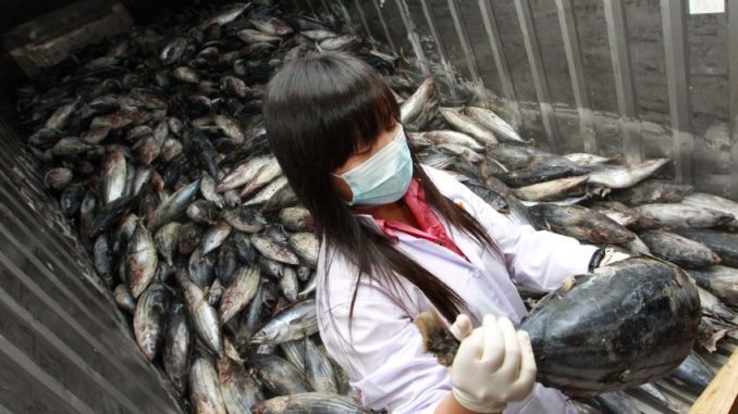 Fukushima scientists warn that humans will never eat fish out of the ocean again