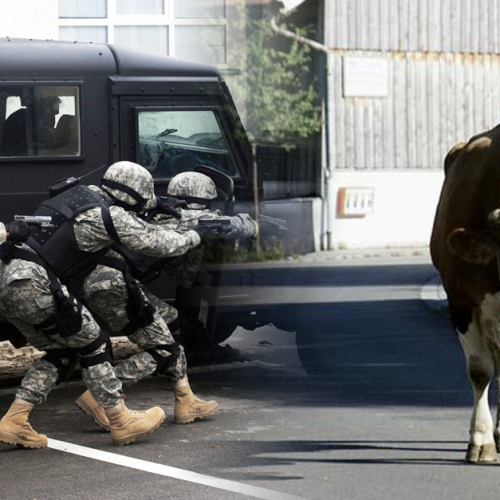 Video: Police Gun Down Cow in Street After “Feeling Threatened” by It