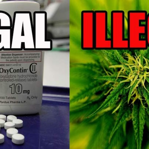 Same Government that Locks People in Jail for Cannabis, Just Approved OxyContin for Young Children