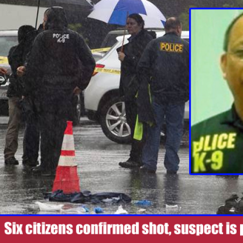 Cop Goes on Mass Shooting Spree, Multiple Citizens Dead and Others Wounded: Report