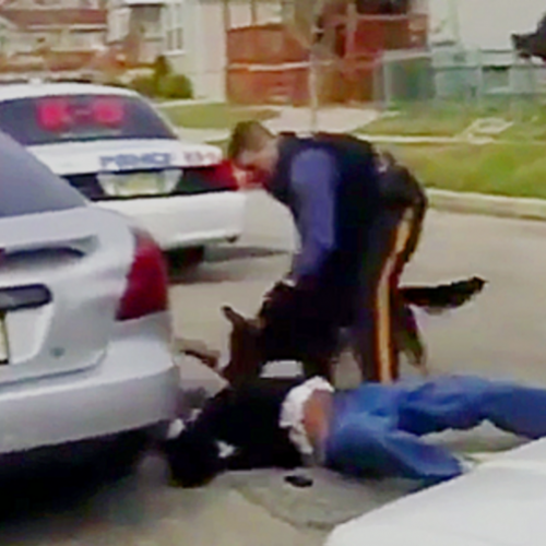 [WATCH] New Video Surfaces Showing New Jersey Cops Siccing Dog on Non-Resisting Man, Who Ended Up Dying