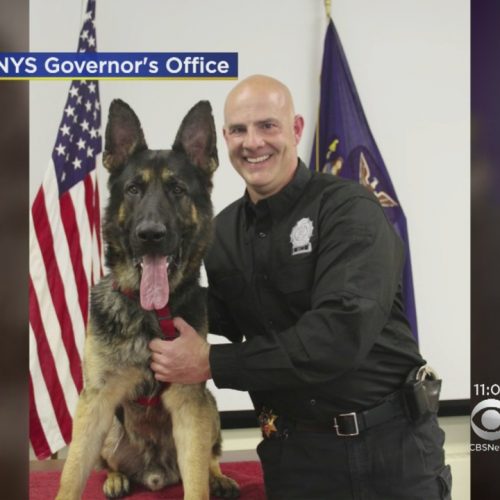 [WATCH] Girl Heartbroken After Rockland County Sheriff’s K9 Kills Family Dog