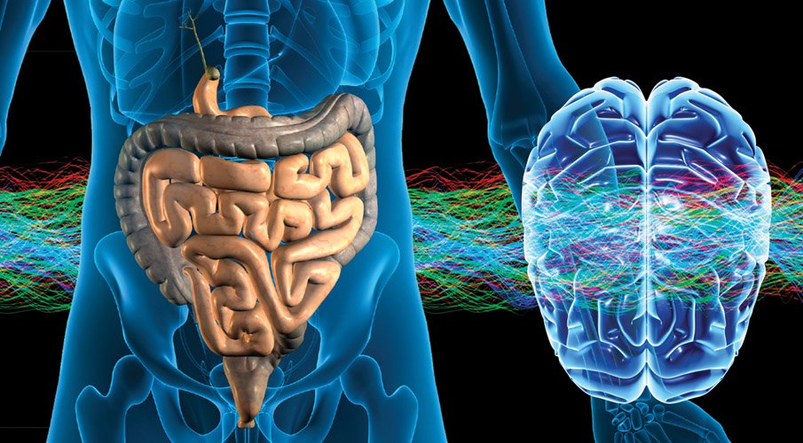 brain-gut-connection