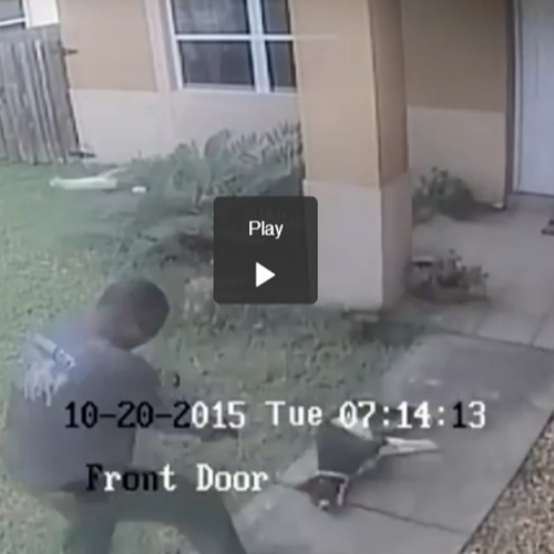 A Cop Just Walked Up to this Family’s House and Shot Their Dog THREE TIMES in the Head
