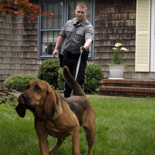 Ocean County Sheriff’s Officer Admits Stealing Cocaine Used For Canine Training