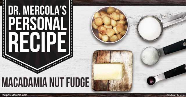 Dr. Mercola's Macadamia Nut Fudge Recipe
