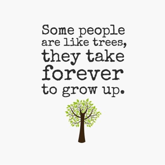some-people-are-like-trees-they-take-forever-to-grow-up-quote-1.jpg