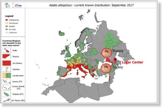 Aedes Albopictus distribution