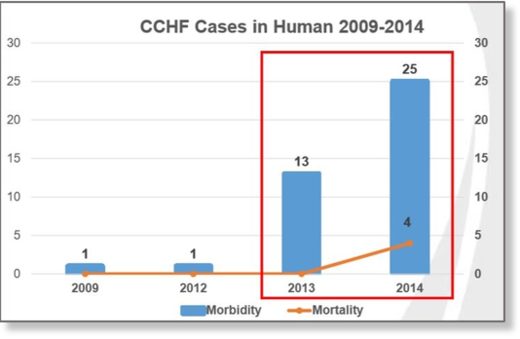CCHF Cases in Humans