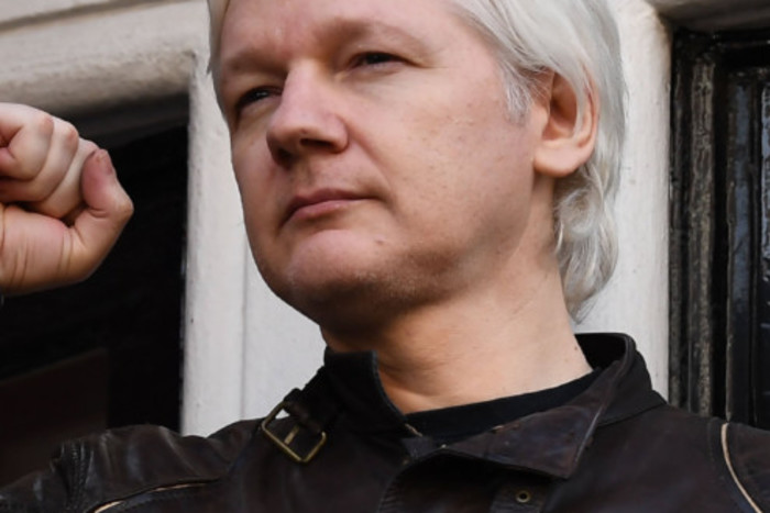 Image result for Julian Assange fist