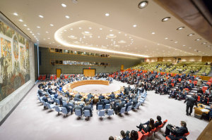 The UN-security Council? Photo/Rick Bajornas