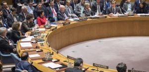 UNSC Session on March 13. 