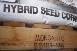 Monsanto_Hybrid Seed_GMO_NEO_2016