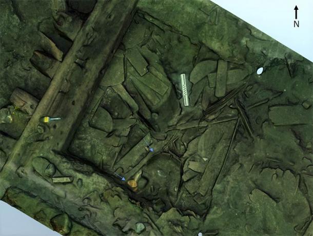 Skeletal remains of the ancient sturgeon were found in a barrel buried in silt in the hull of the shipwreck. (Lund University / Science Direct)