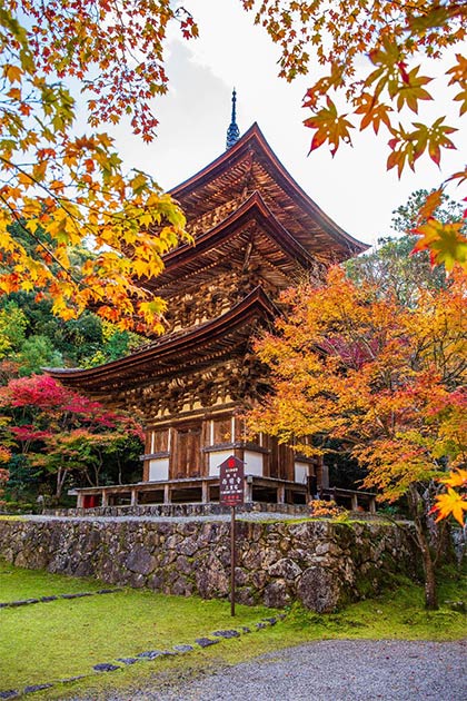 Saimyoji temple pagoda. (Yuta1127 /Adobe Stock)