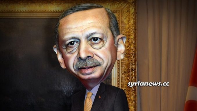 Recept Tayyeb Erdogan - Turkey Sultan Wannabe