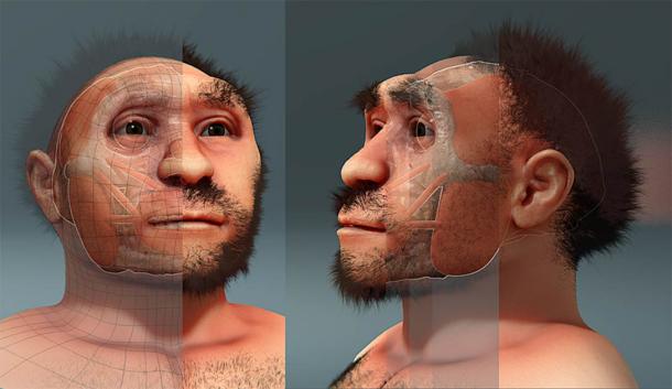 A reconstruction of Peking Man or Homo erectus pekinensis, a specimens of Homo erectus found in China dating from roughly 750,000 years ago. (Cicero Moraes / Public domain)