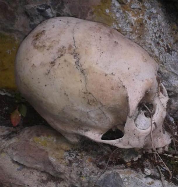 One of two elongated skulls discovered in the mountains in the Cuzco region of Peru, North of Abancay. (Image: © Philip J.S. Jones)