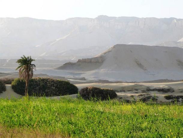 Egyptian deserts are a study in contrasts ranging from the green life of oases to the dry, inhospitable rocky cliffs. (P. Polkowski / Science in Poland)