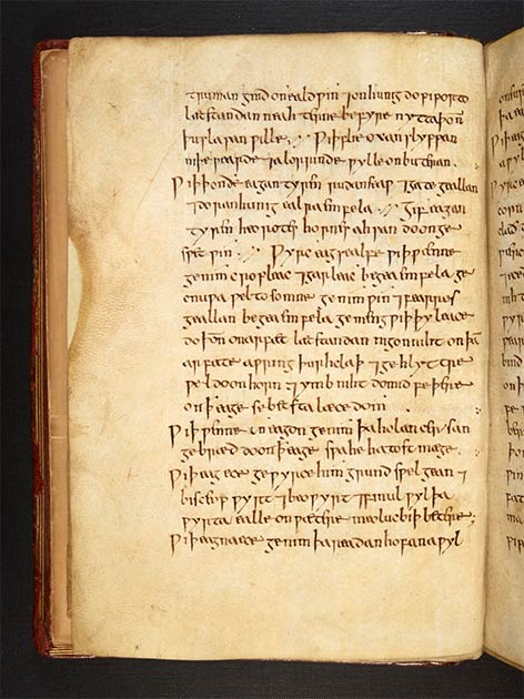 The actual eyesalve remedy text. (Image: © The British Library Board (Royal 12 D xvii))